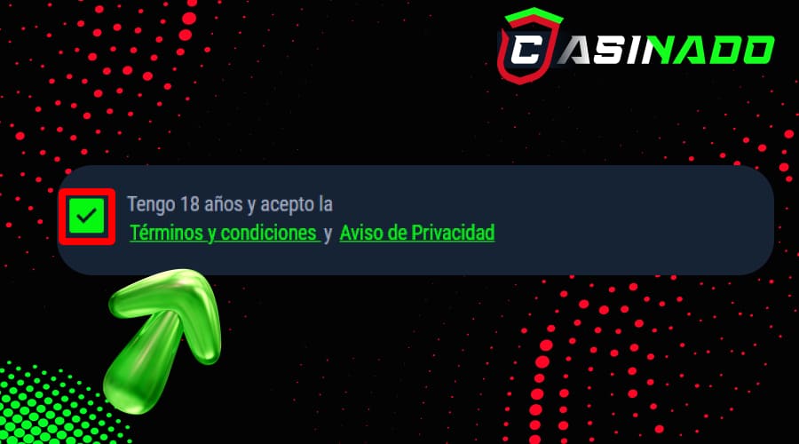 Confirm you accept the policies and are of legal age to play.